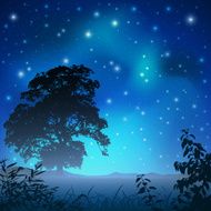 Night Sky N16