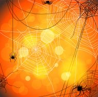 Background with spiders and web N2