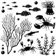 sea life design elements N9