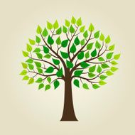 Tree isolated on a white background