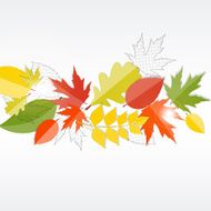 Shiny Autumn Natural Leaves Background Vector Illustration N74
