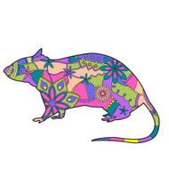 Rat colorful