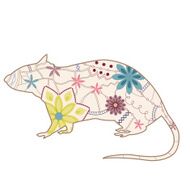 Vintage rat