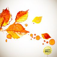 Autumn sunny watercolor wind leaves background