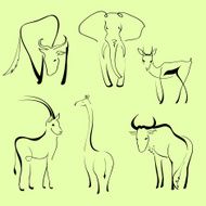 Wild Animals N24