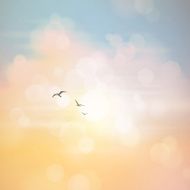 Defocused Summer Sky Background