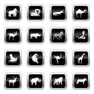 Supergloss Black Icons - African Animals