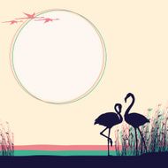 Two Flamingos in the wild