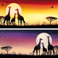 African Giraffes silhouettes safari illustrations set