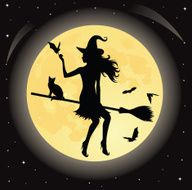 Witch On A Broom N5