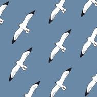 seagulls background