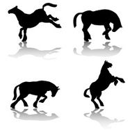 Workhorse Silhouette Collection