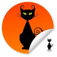 Black Cat N43