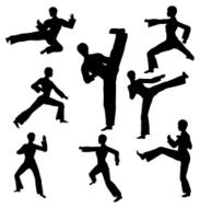 Martial Arts Silhouette Collection