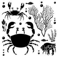 crab design elements