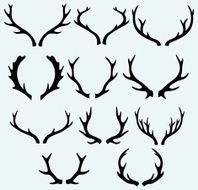Deer Horns N7