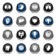 Supergloss Icons - Human Organs