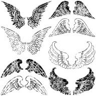 Eight Pairs of Grunge Angel Wings
