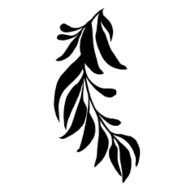 decorative silhouette branch with leaves