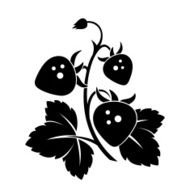 Branch of wild strawberry Vector black silhouette