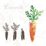 Carrot Icons N2