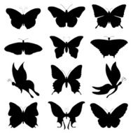 butterfly N135