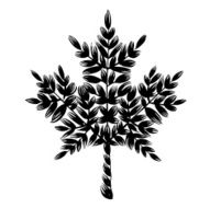 decorative silhouette maple leaf N2