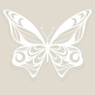 Fancy Butterfly - Illustration