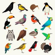 Birds Set N8