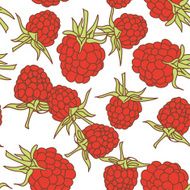 ripe raspberry seamless pettern isolated on white background Sketch hand-drawn
