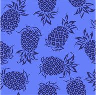 repetition of pineapple N11