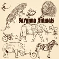 Collection of vector animals African Savanna