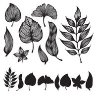 Swirly Leaves