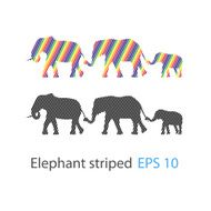 The striped family elephant - illustration N2