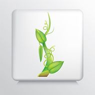 Square Icon with Green Beanstalk and Leaves