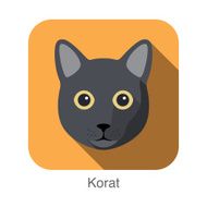 Korat Cat Cat breed face cartoon flat icon design