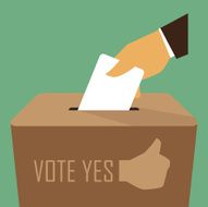 Voting at the Ballot Box