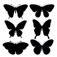 set of black silhouettes butterflies