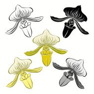 Hand drawn orchid flowers vector set
