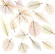 autumn leaves N83