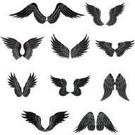 Set of wings N6