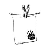 badger footprint N2