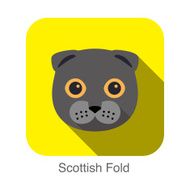 Scottish Fold Cat breed face cartoon flat icon design N2