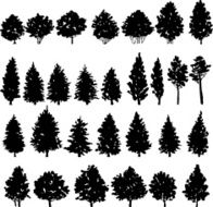 Set of trees silhouettes N2
