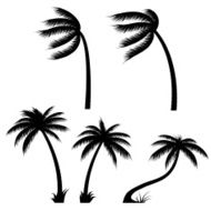 Palm trees - VECTOR N3