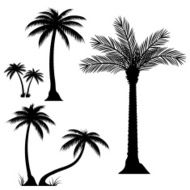 Palm trees - VECTOR N4