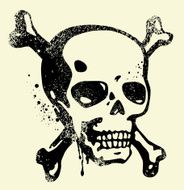 Skull N61