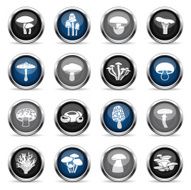 Supergloss Icons - Edible Mushrooms