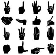Human Hands N8