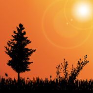 Vector silhouette of tree N31
